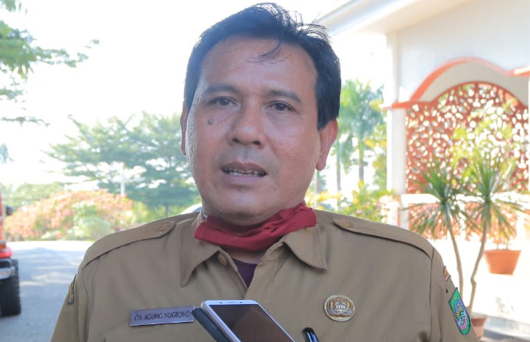 Sapi Peternak Rohul Terpilih Jadi Hewan Kurban Presiden Prabowo