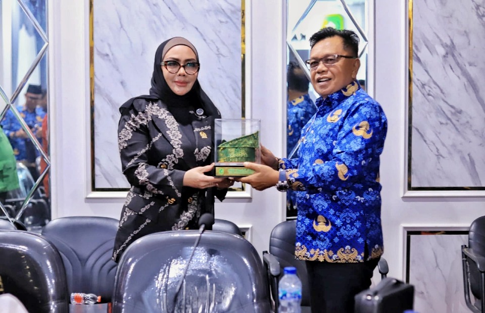 Bupati Asmar Minta DPR RI Carikan Solusi Penutupan Panglong Arang di Meranti