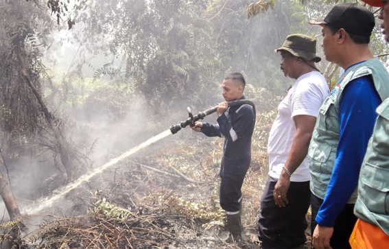 Lebih dari 38 Hektare Lahan di Pekanbaru Terbakar