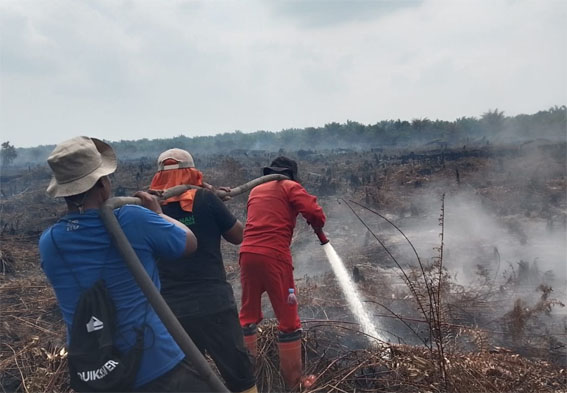 Luas Karhutla di Sungai Segajah Jaya Capai 7,5 Hektare, Tim Gabungan Terus Lakukan Pemadaman