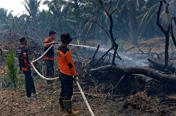 Forkopimda Riau Terbitkan Maklumat Pencegahan Karhutla, Ini Enam Poin Pentingnya