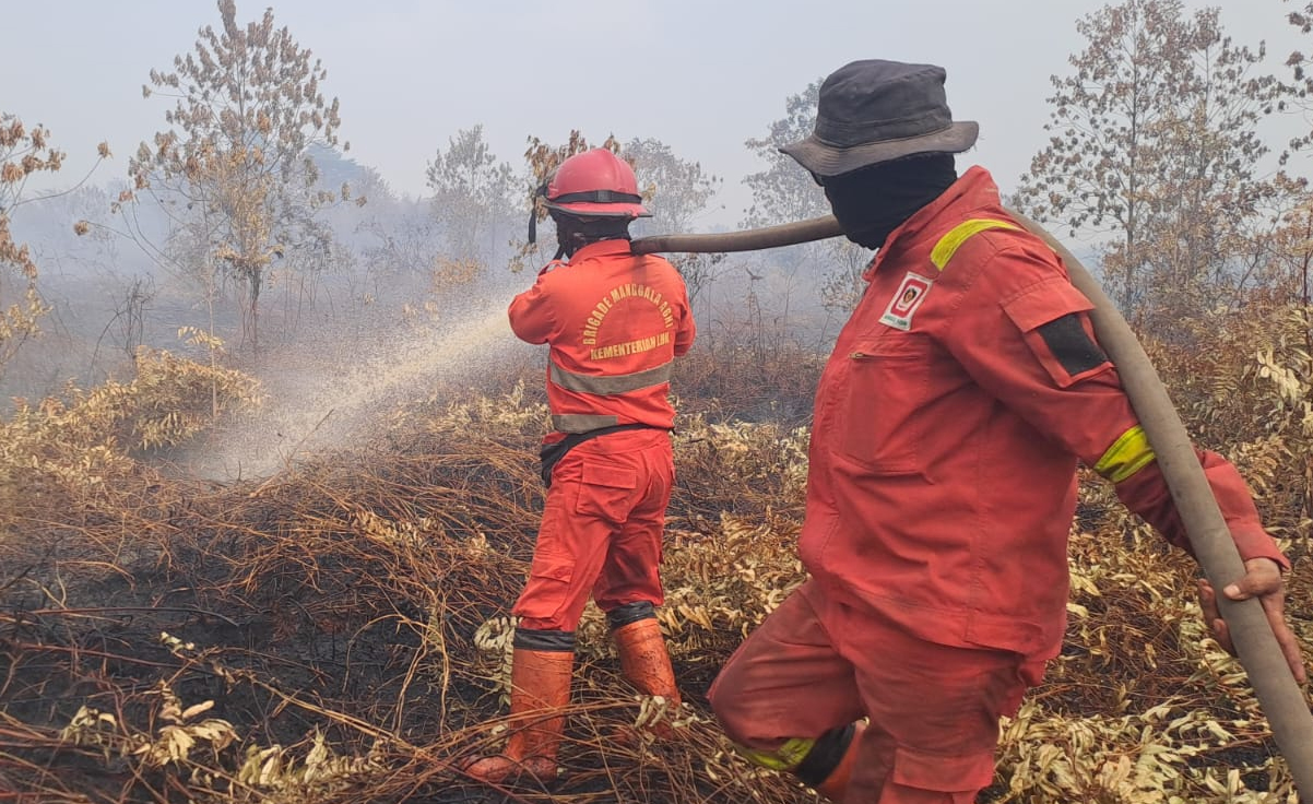 Karhutla Bengkalis: Pematang Pudu Kondusif, Tim Fokus Padamkan Api di Buluh Apo