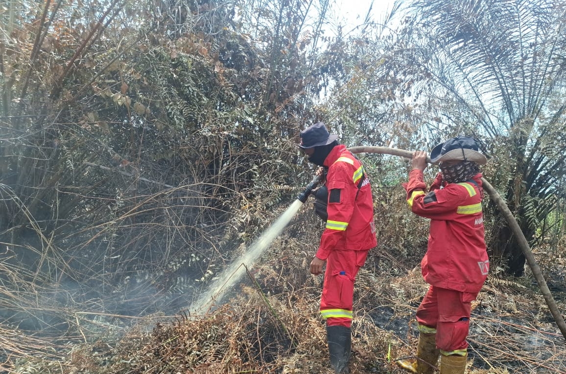 Manggala Agni Tangani Karhutla di Empat Wilayah Riau, Sejumlah Lokasi Masuk Tahap Mopping Up