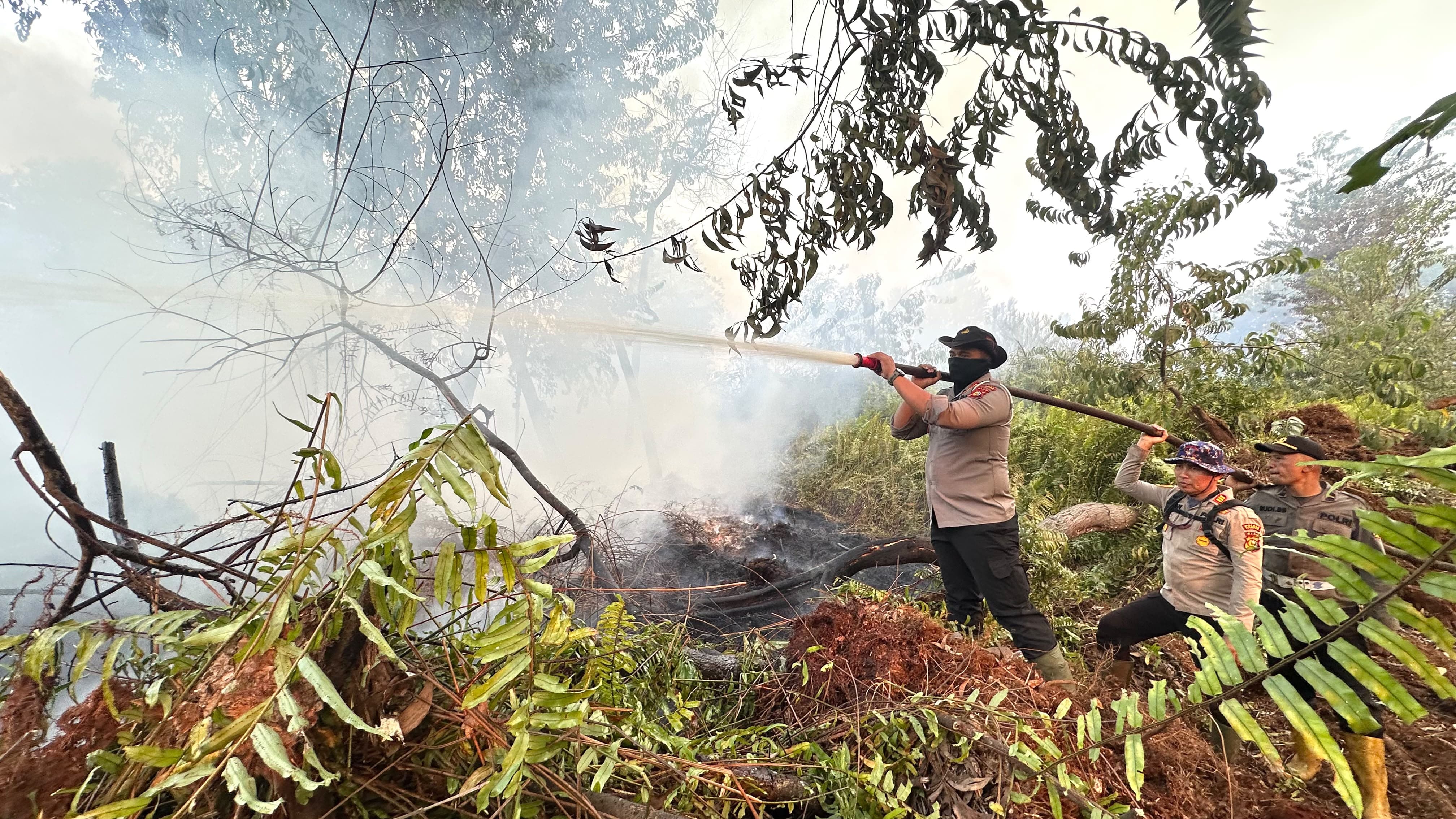 Sempat Padam, Karhutla di Kerumutan Pelalawan Kembali Membara