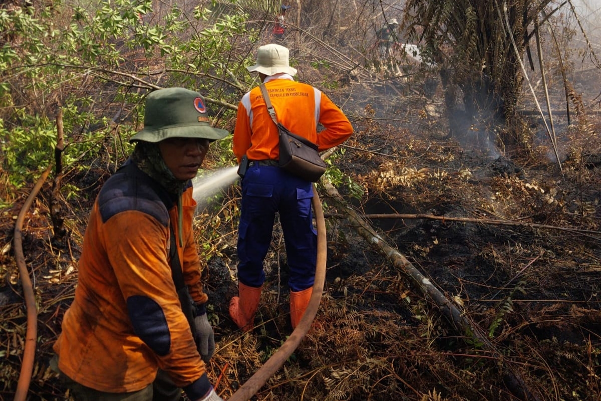 BPBD Riau Tambah Kekuatan Tim Gabungan Padamkan Karhutla di Kerumutan