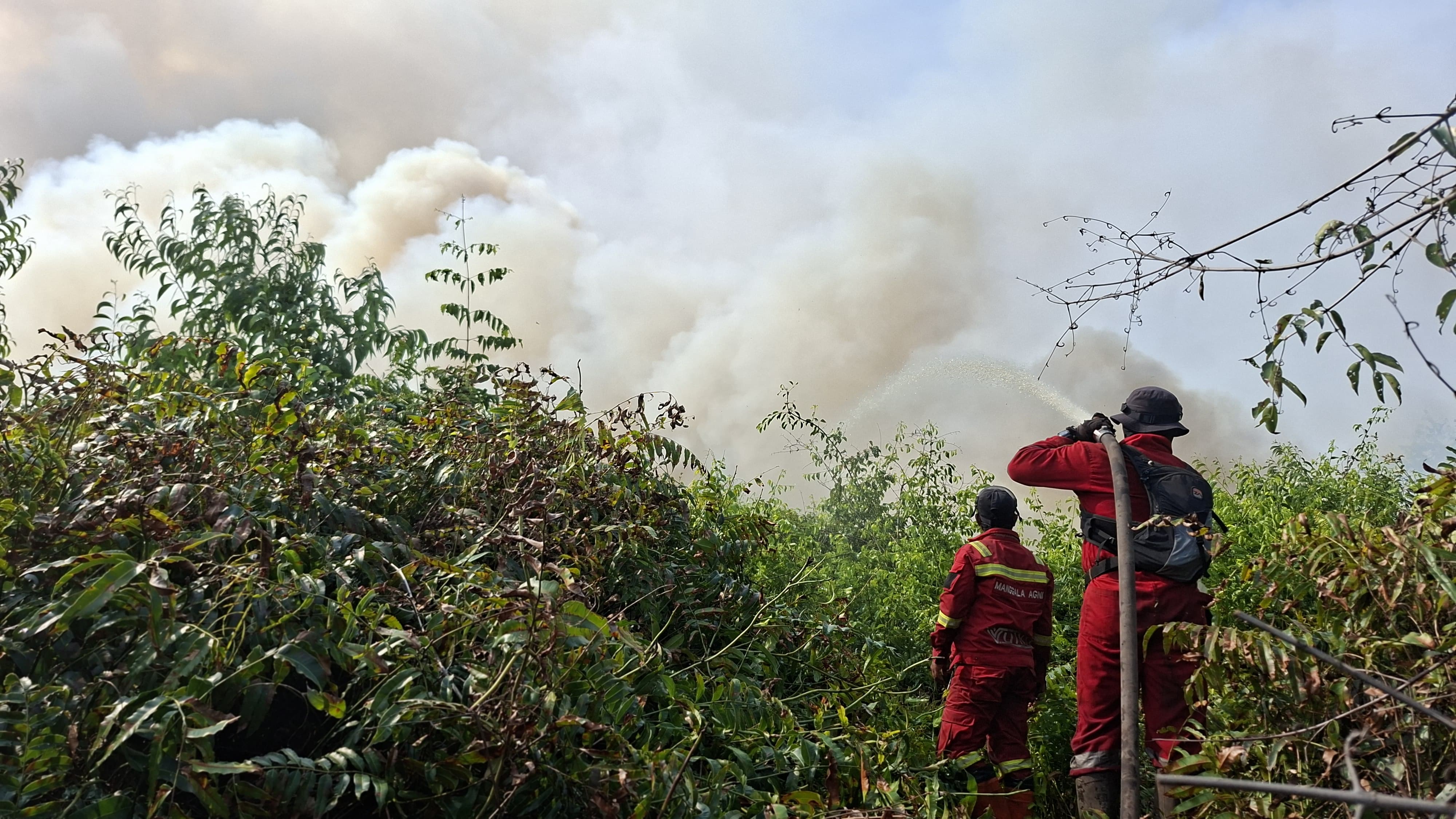 Karhutla Inhu Hari ke-21, Tim Gabungan Pastikan Tidak Ada Api Susulan