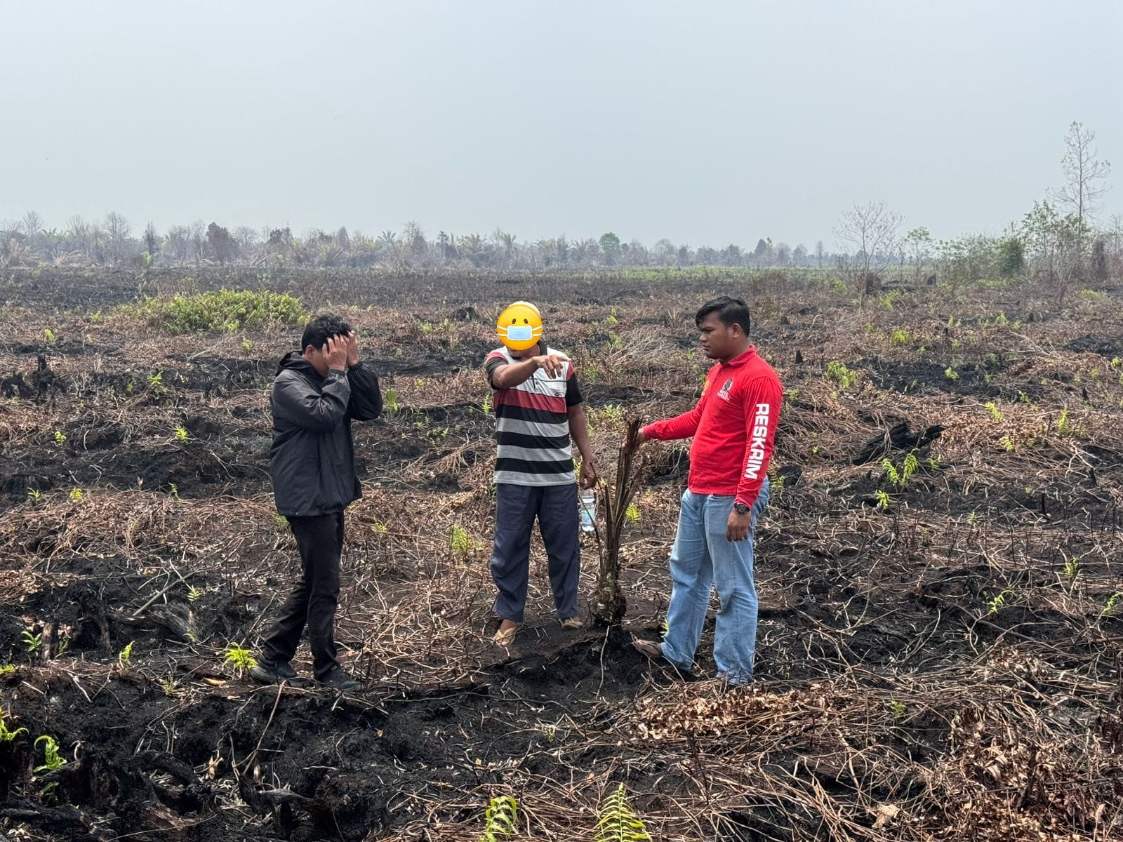Pemilik Lahan Terbakar di Bengkalis Jadi Tersangka, Garap Kawasan Hutan Tanpa Izin