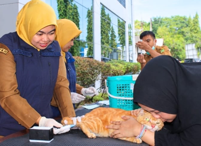 Cegah Rabies, DPKH Riau Vaksin Gratis 204 Hewan di Pekanbaru