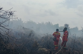 Karhutla di Indragiri Hulu Masih Berlangsung, Cuaca Berangin Jadi Tantangan Tim Pemadam