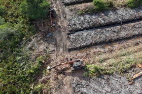 Polda Riau Selidiki Dugaan Perusakan 100 Hektare Hutan Mangrove di Rohil