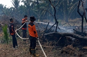 Forkopimda Riau Terbitkan Maklumat Pencegahan Karhutla, Ini Enam Poin Pentingnya