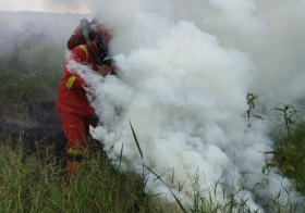 Tim Fokus Padamkan Sisa Karhutla Mak Teduh Kerumutan 