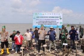 Perkuat Konservasi Mangrove, Dukung Keberlanjutan Operasi dan Ekonomi Pesisir