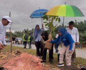 5.050 Pohon Ditanam di Ruas Jalan Siak-Dayun Sepanjang 15 Kilometer