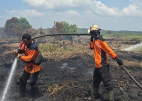 Pemkab Rohil Tetapkan Status Siaga Darurat Karhutla hingga November 2026