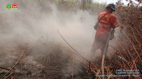 Kepala Api Karhutla Sungai Guntung Hilir Merangsek ke Hutan Primer, Alat Berat Tambahan Dikerahkan