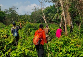 Tim SAR Gabungan Sisir Perkebunan Cari Lansia 80 Tahun yang Hilang di Meranti