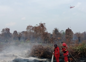 Angin Kencang Hambat Pemadaman Karhutla di Bengkalis dan Rokan Hilir