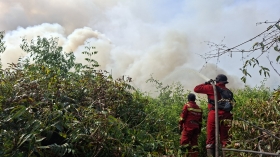 Karhutla Inhu Hari ke-21, Tim Gabungan Pastikan Tidak Ada Api Susulan