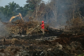 Update Karhutla Riau, Luas Lahan Terbakar Capai 18.770 Hektare