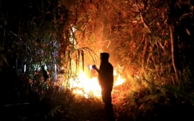 Tiga Hektare Semak Belukar Terbakar di Sungai Beringin Tembilahan