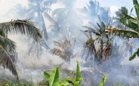 Kebakaran Dua Hektare Perkebunan Kelapa di Inhil Berhasil Dipadamkan