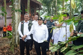 Delapan Tahun Restorasi, Riau Pulihkan 451 Ribu Hektare Gambut